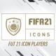 Fifa Icon